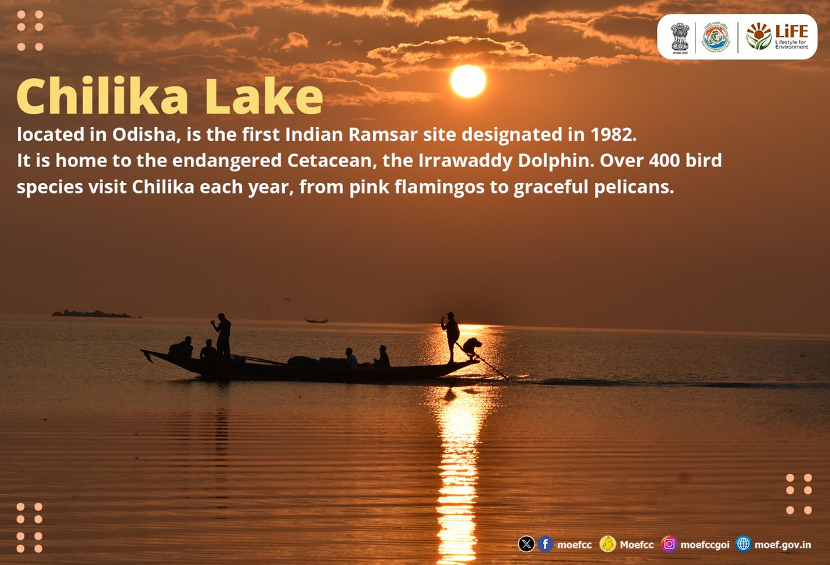 moefcc's tweet photo. Exploring India's Ramsar Sites 🦢

Day 9: Chilika Lake

From wetlands to wildlife, each site is a unique haven for nature. Let's celebrate and safeguard these vital ecosystems together!

#RamsarSites #ChilikaLake #WorldWetlandsDay  #WetlandsAndHumanWelbeing
@RamsarConv https://t.co/JP8JRJRAbP