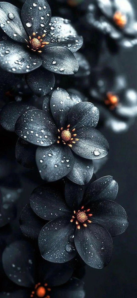 ra7el27's tweet photo. @gorgeous4ew https://t.co/hZ1FcsjtRU