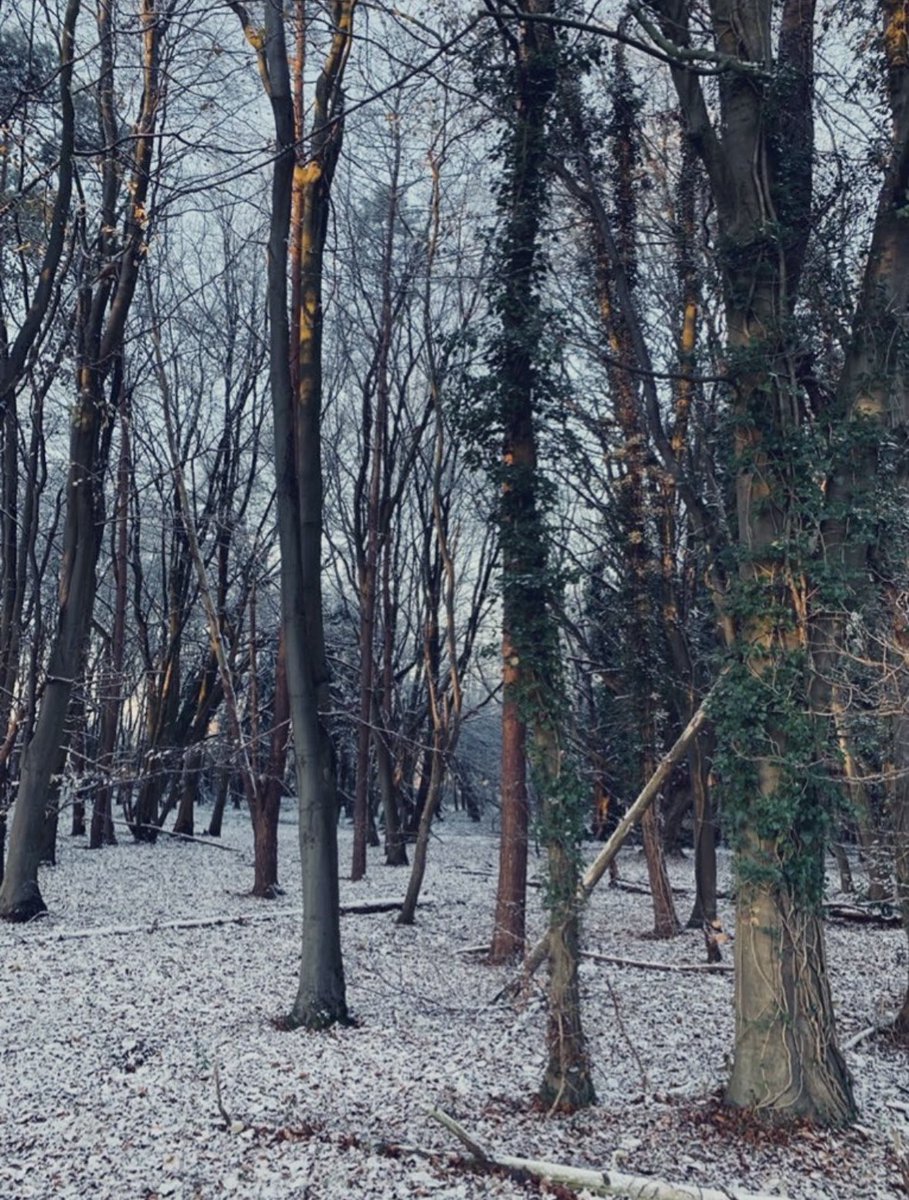 Morning, we made it to Friday 🥳
Here’s a fabulous piece of nostalgia for my choice for #predictablefestivetune  Boney M with their version of ‘Mary’s Boy Child/Oh My Lord’ youtu.be/X6NewtnVN2Y?fe…
Always loved this!
🔔🔔🔔🔔
How do you rate it? 🤔
Have a great day ahead! 🎶🎶🎶