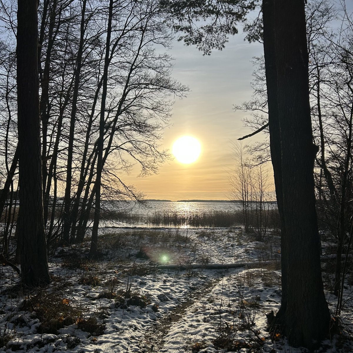 Hyvää itsenäisyyspäivää! 🇫🇮

💙🤍

Glad självständighetsdag! 🇫🇮

💙🤍

Happy Finnish Independence Day! 🇫🇮

#MeOllaanVeritas #ViÄrVeritas #WeAreVeritas