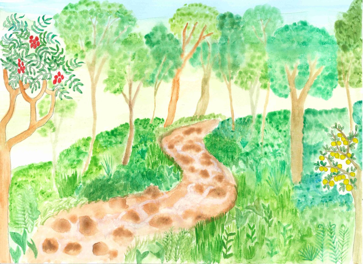 missllika's tweet photo. Could we create biodiverse edible spaces in cities to support foraging? Combining perspectives from city-dwellers, land managers, and theory, we suggest how urban greenspace could be actively enriched for human and non-human use! https://t.co/1c0TW6effU https://t.co/0fsK0WyjfX