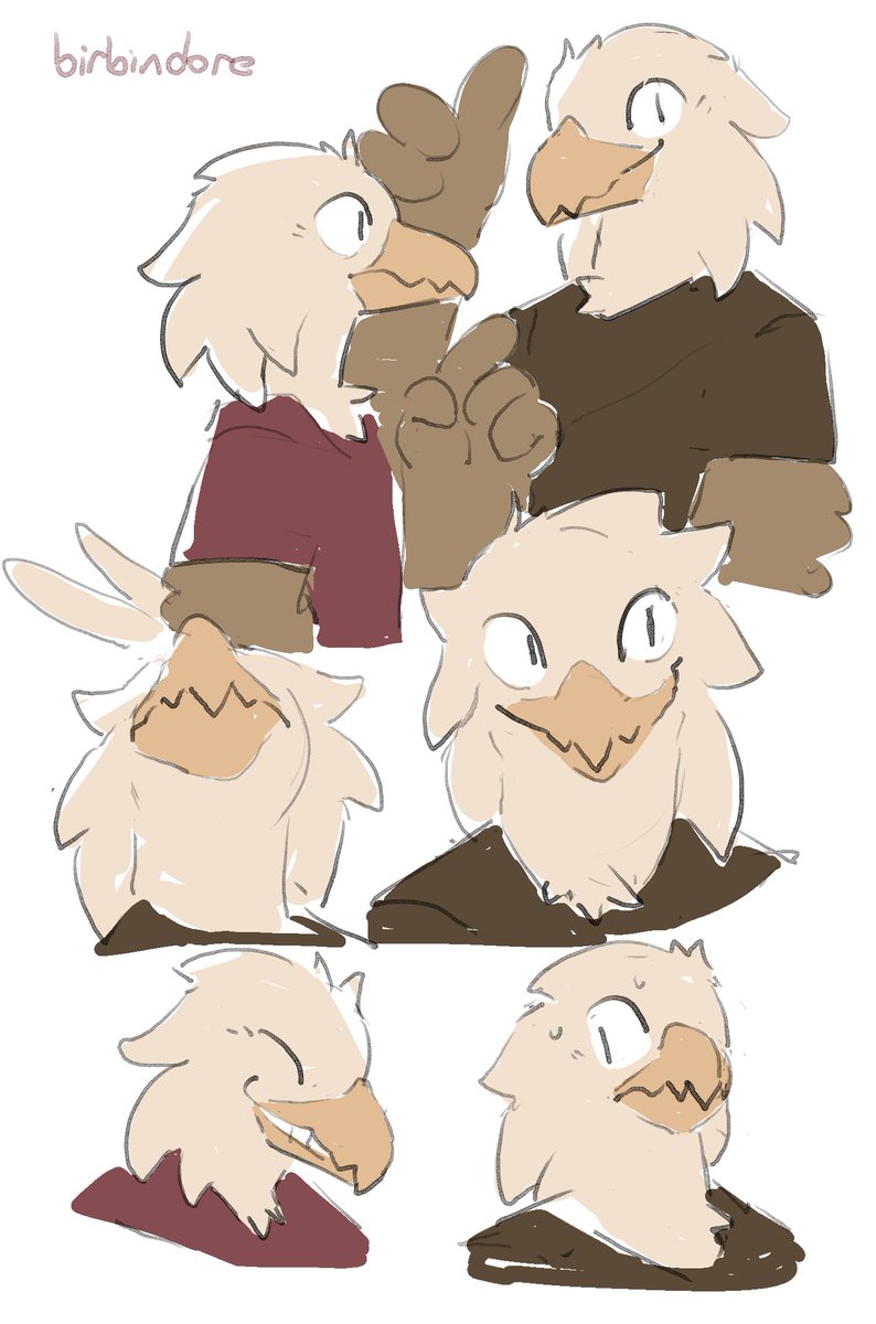 bird bird bird bird bird