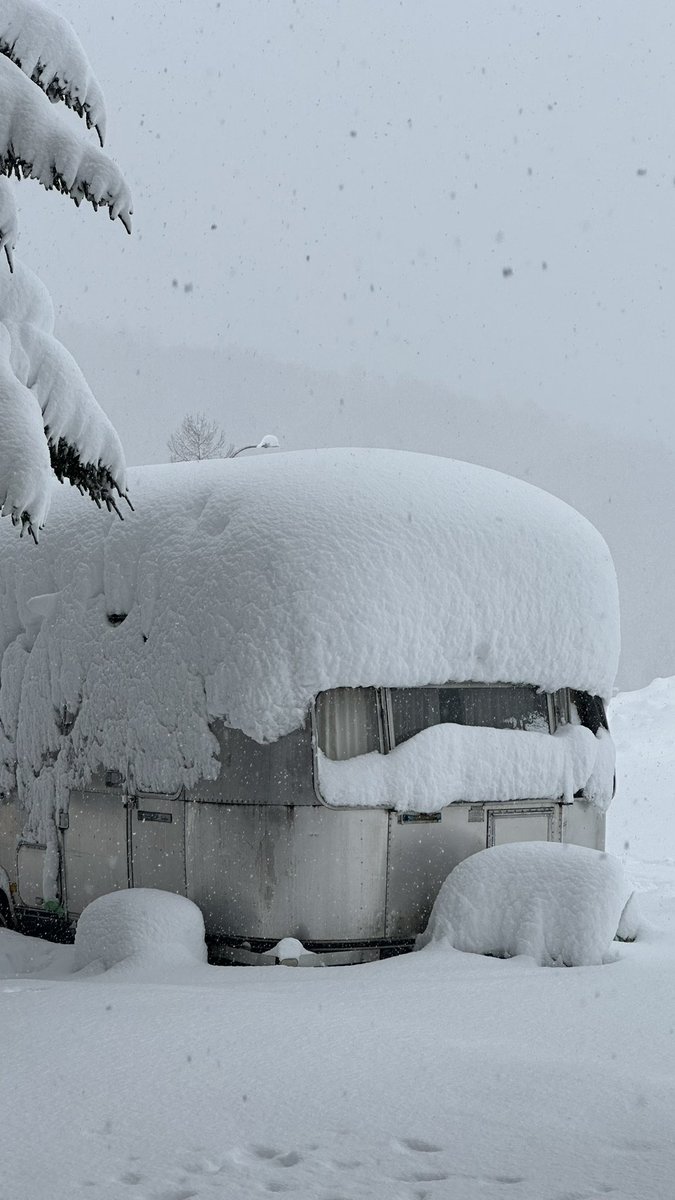 takuman2012's tweet photo. 福島県裏磐梯エリアについて

【朗報&amp;注意】

爆雪でいきなりトップシーズンレベルの雪が楽しめます！

しかし、道路含め全てがトップシーズンレベルになっているので、除雪が間に合っていなかったり、深すぎてスタックしたり、スリップしたりする可能性がありますので十分ご注意下さい。 https://t.co/izl5ayY9IE