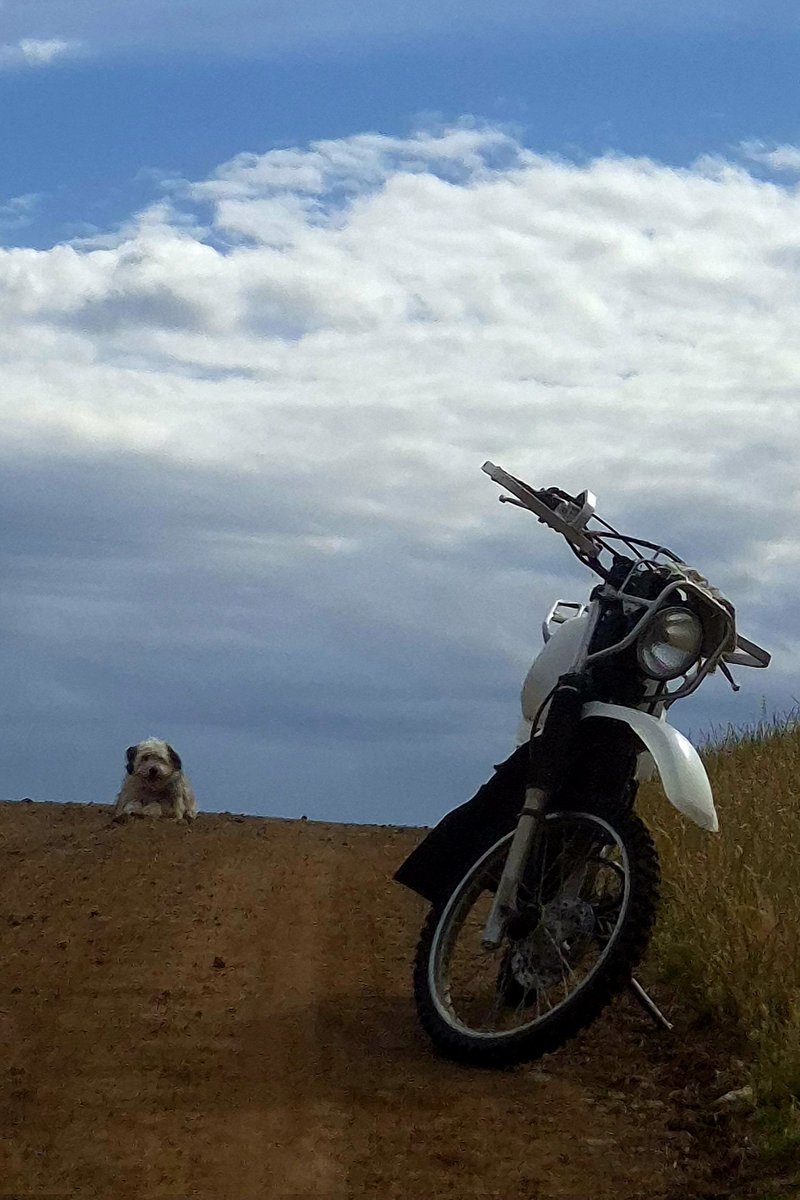 Waiting for the weekend