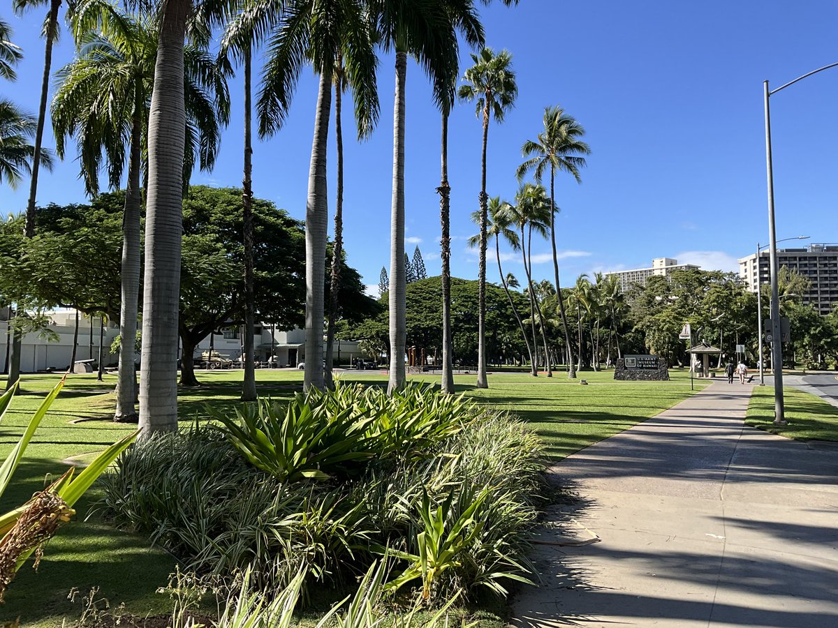 hawaii_isla808's tweet photo. Fort DeRussy Beach in Honolulu, Hawaii today. #hawaii #waikiki #honolulu #oahu #fortderussy https://t.co/zuuPvbExuD