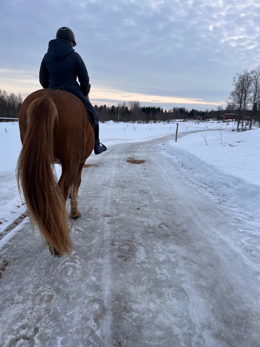 Vapaa tie on vaeltaa, ei rysky tykit, ei kumaja kanuunat. Tämä maa on meidän kaikkien kahleitta kulkea, saamme mitata sen aavaa ja rajatonta lakeutta.

Hyvää itsenäisyyspäivää! #ravit