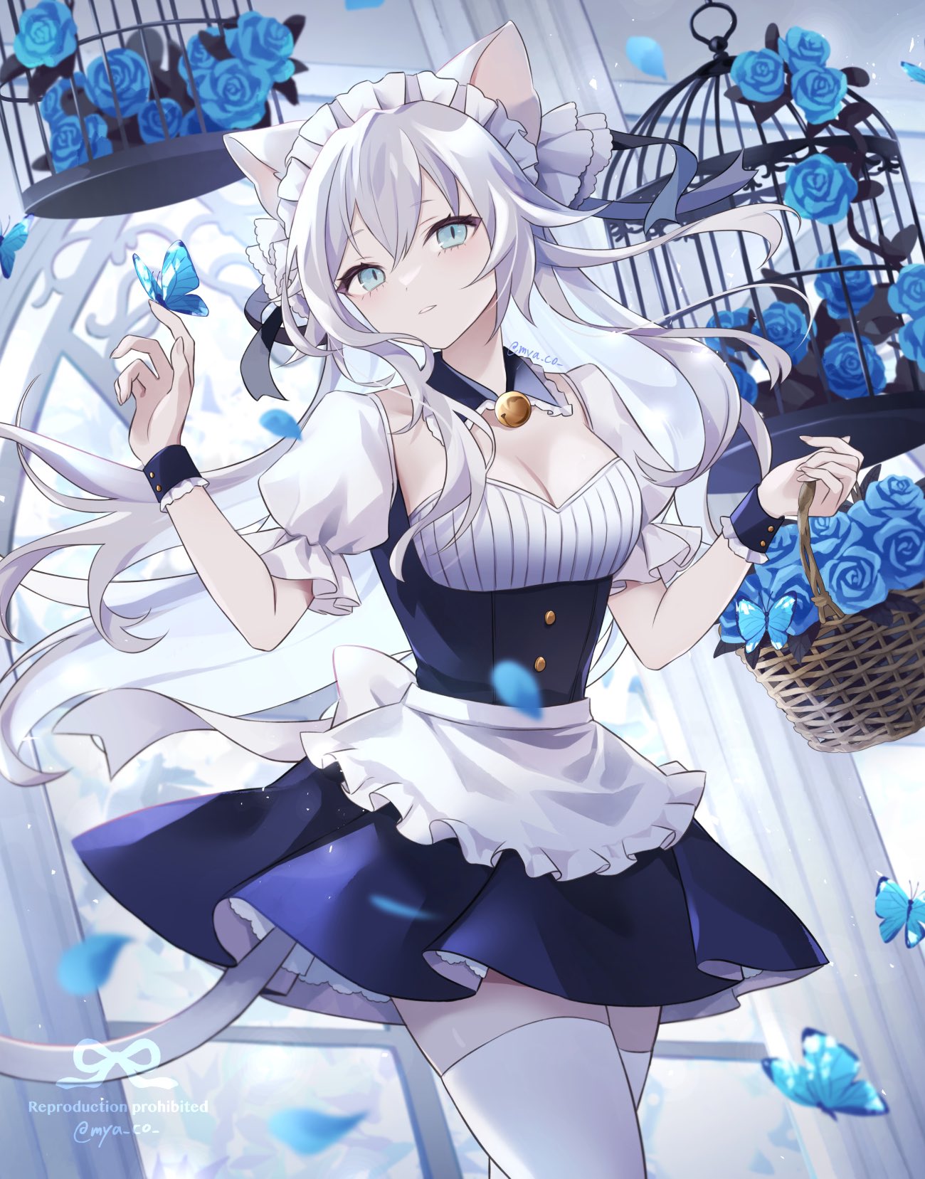 藤本りっきー🩺💉 (@C12H22O11_13) / X