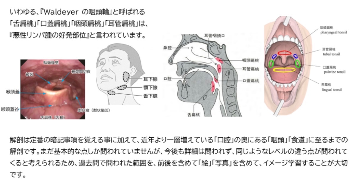 🔵問題解説 一見すると難しいように感じるかもしれませんが、冷静に