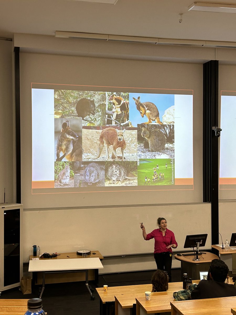 Australasian Evolution Society tweet media