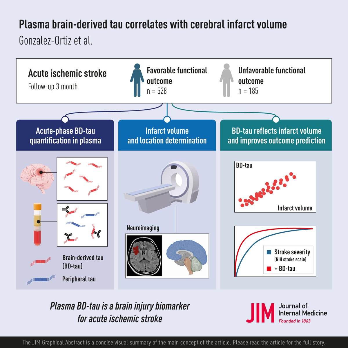 JInternMed's tweet photo. New article reports a strong correlation between plasma BD-tau and infarct volume in acute ischemic stroke. 

➡️BD-tau adds prognostic value for clinical outcome after stroke.  
➡️Could BD-tau be the troponin of the brain? 

 🔗https://t.co/II6XvUHLDq

#IschemicStroke #troponin https://t.co/2nFpVWZwbB