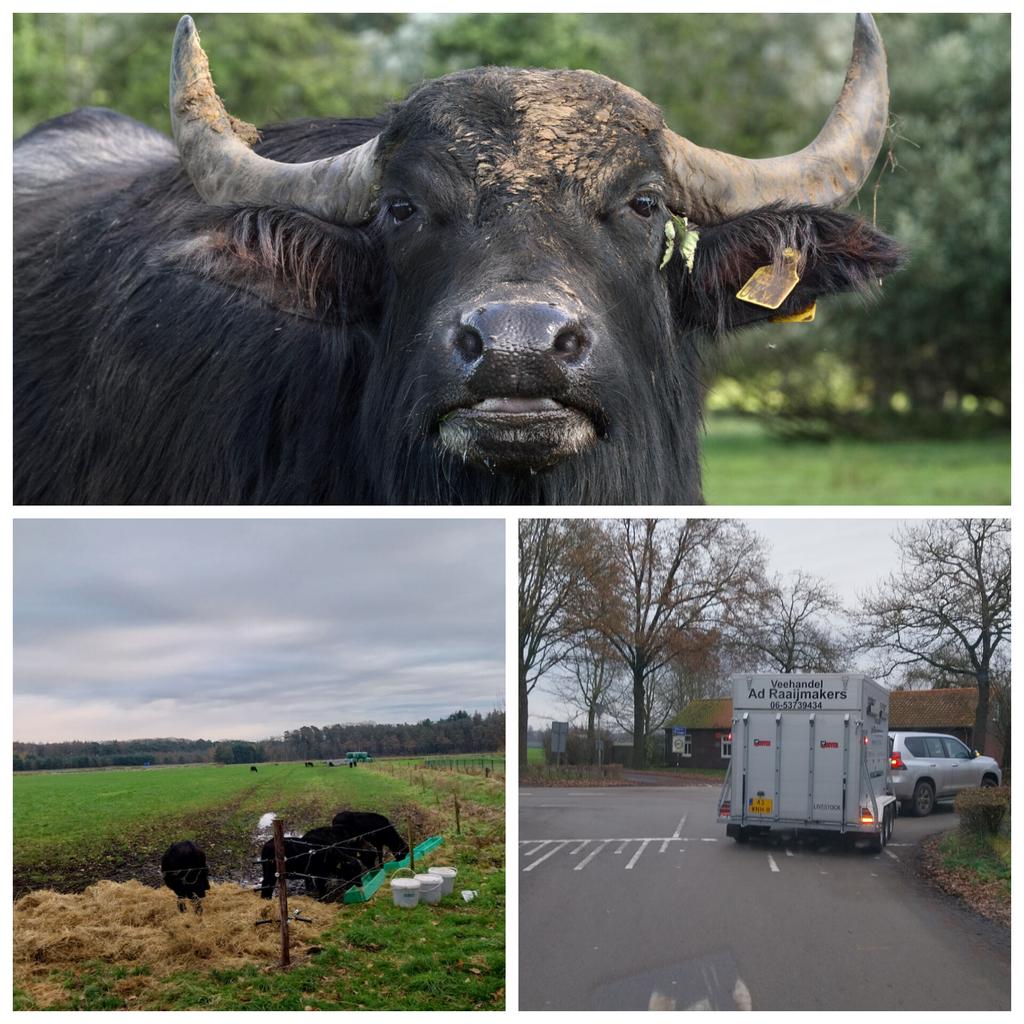 instagram.com/p/DDOp--WN_4h/…