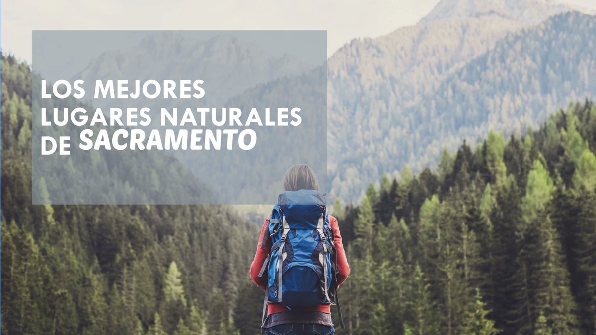 Sacramento’s Best Nature Spots for Hiking, Birdwatching, and Wildlife Spotting

dprimeramano.org/sacramentos-be…