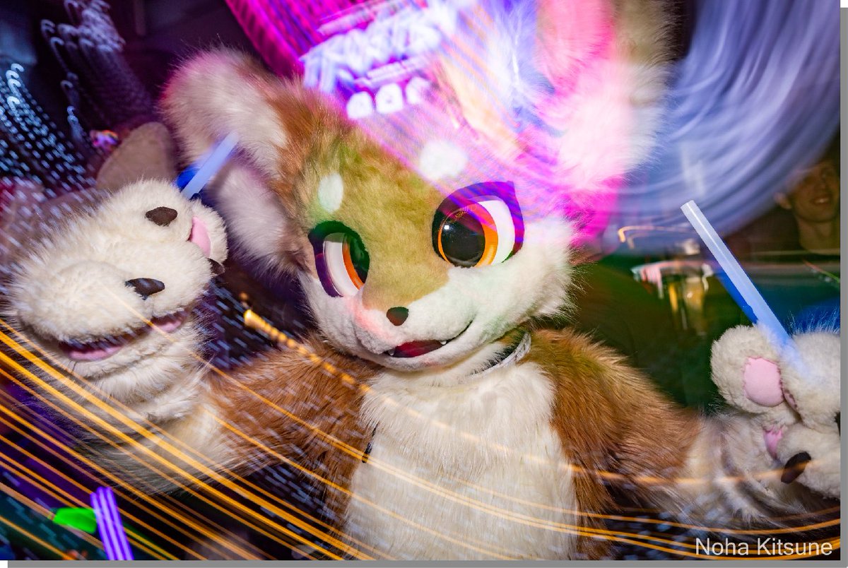 LondonFurs tweet media