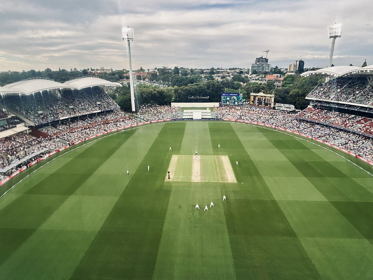 Fair views