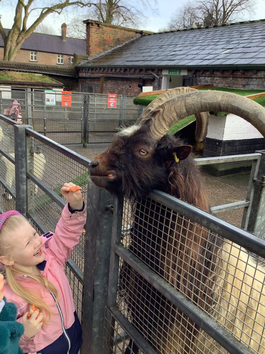 St Anne Stanley Year 1 tweet media