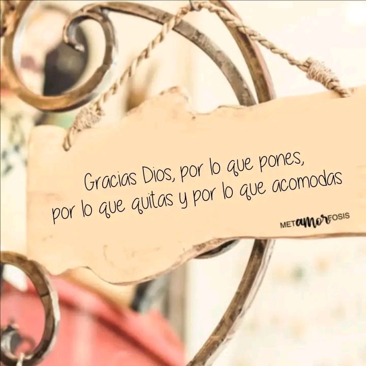 Gracias 🙏🫶
