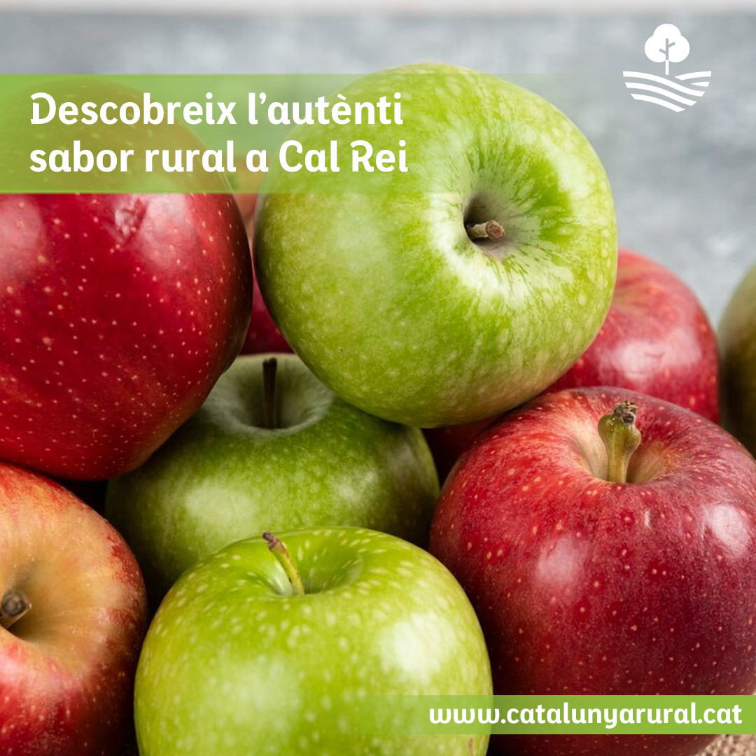Cal Rei, al cor de Lles (Cerdanya), et porta un toc de tardor amb la seva vichyssoise de pomes de muntanya 🍎

Descobreix el sabor de la cuina rural i viu una estada plena d’encant!

Reserva: goo.su/ULRUj #CalRei

#CuinaDeMuntanya #EscapadaRural #CatalunyaRural