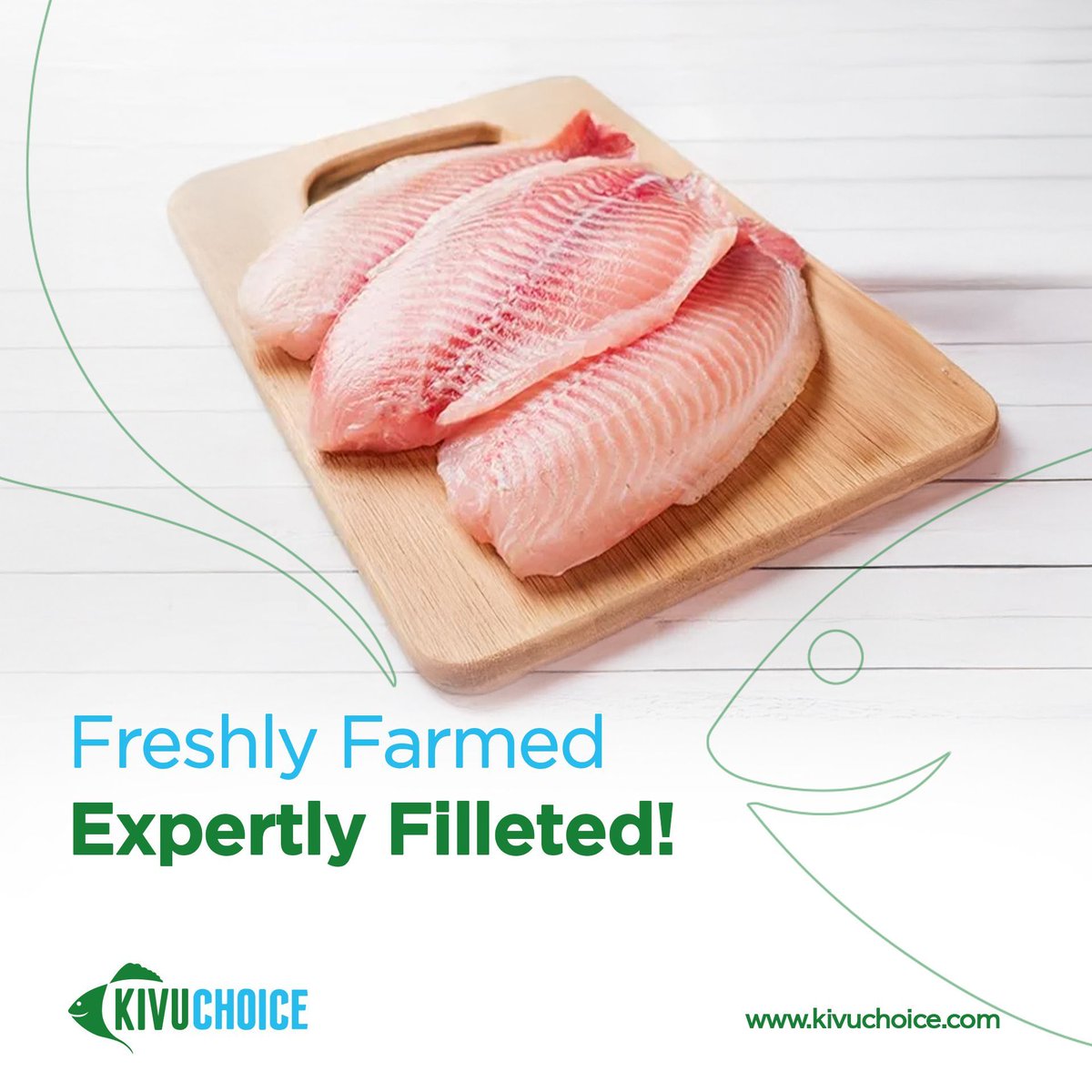 Kivuchoice's tweet photo. Quality is non-negotiable! At Kivu Choice, we personally fillet our tilapia to deliver the freshest, most tender fillets straight from Lake Kivu to your plate. From raising healthy fish to preparing them with care, every step reflects our passion for excellence. #KivuChoice https://t.co/K9P26BA5O6