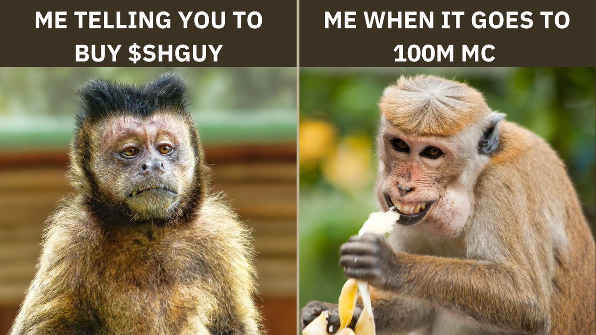sol_shyguy's tweet photo. CA:
GAHoBSZGi8RcegTs4XK2m9oXNa5PNvkAADo2cMRjzjQg

BOOST IS ACTIVE/PAID WE ARE ON OUR WAY TO THE MOON! NO STOPS ON THE WAY!🚀🚀🚀🚀🚀

#Bitcoin #DOGE #PEPE #purpe #Solana #cryptocurrency #robinhood #ElonMusk #memecoin #PhantomWallet #Moonshot #Ethereum https://t.co/pd9Dr5Xj5n