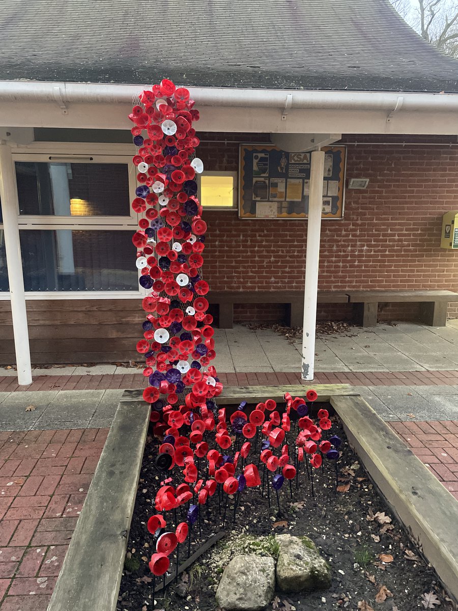 Knightwood Primary tweet media