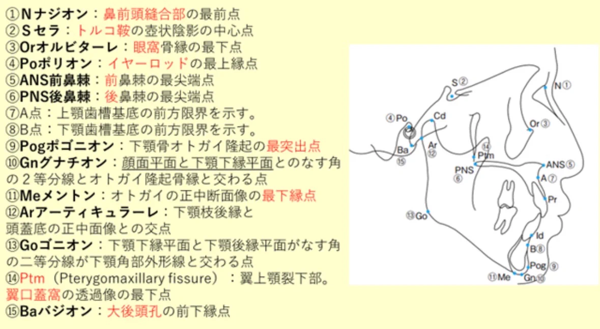 ロムニーハウス 歯科医師国家試験分析ノート GeGd6U0bwAAMglA?format=webp&