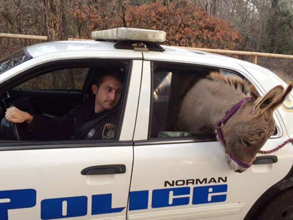 Starknet (Privacy arc) 🥷 tweet media