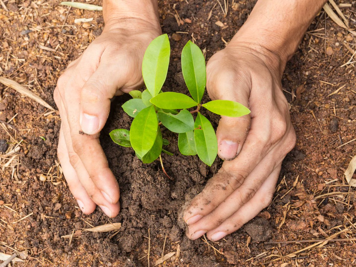 Baufritz receives certification for corporate responsibility
We are proud to be recognised as part of business for the Common Good.

baufritz.com/uk/baufritz-ma…