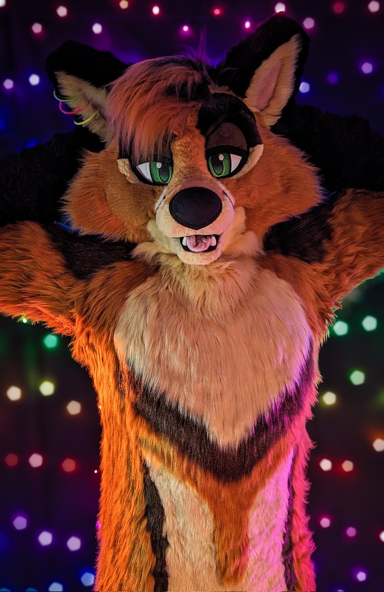 ✅ Boat
✅ Lights
✅ Party Fox ^.^

Ready to dance! You coming? 😏🦊✨🪩🕺🐺

Happy #FursuitFriday folks