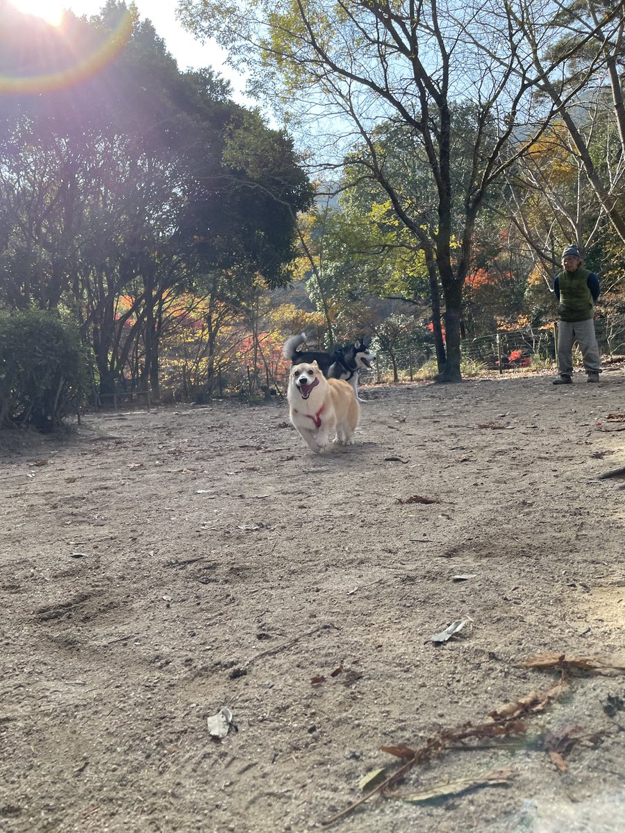 人生楽しそうなこの顔がかわｲｯﾇ