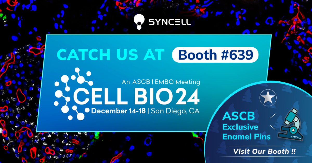 Syncell Inc tweet media