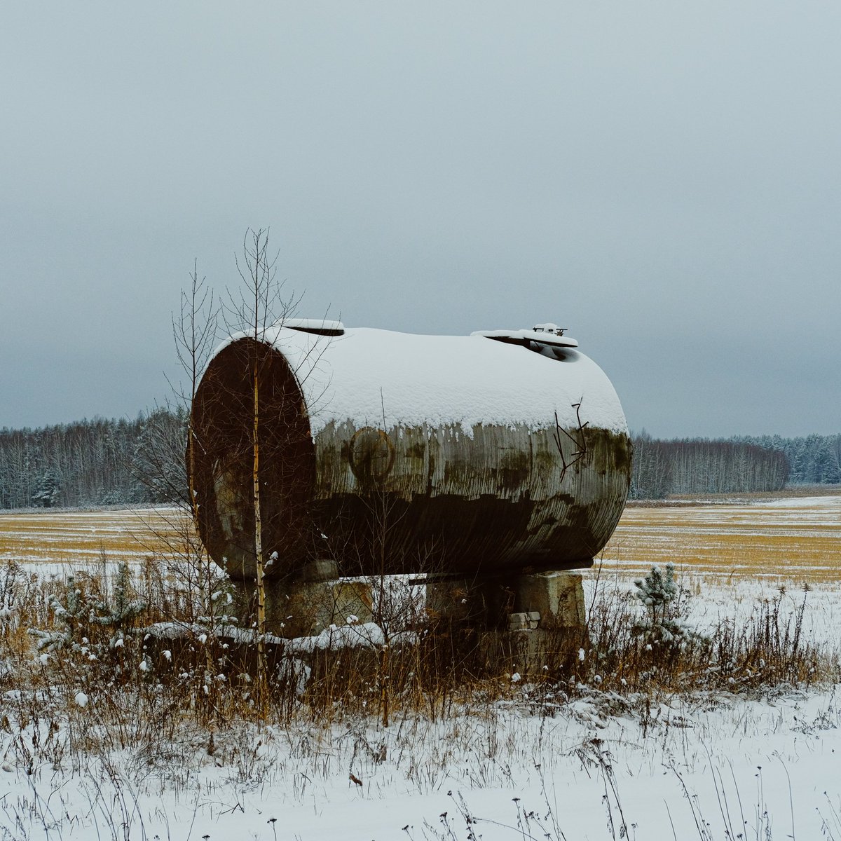 perekati__telo's tweet photo. из проекта "In the middle of nowhere".  сначала меня просто привлек минимализм этой бочки, стоящей посреди ничего, но когда фотографировал, заметил, что непокрытые снегом пятна на ней продолжают линию леса на горизонте. мне показалось это интересным https://t.co/JV2SDeOmm6