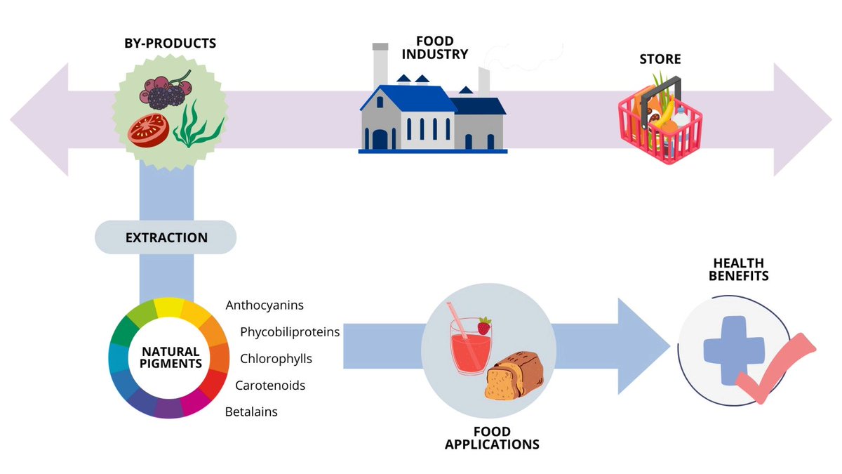 Foods_MDPI's tweet image. #mdpifoods 🔔#Editor’s Choice Article
📚Title: Natural #Pigments Recovery from #Food #By-Products: Health Benefits towards the Food Industry
by Daniela Magalhães et al

📌Link: mdpi.com/2304-8158/13/1…
