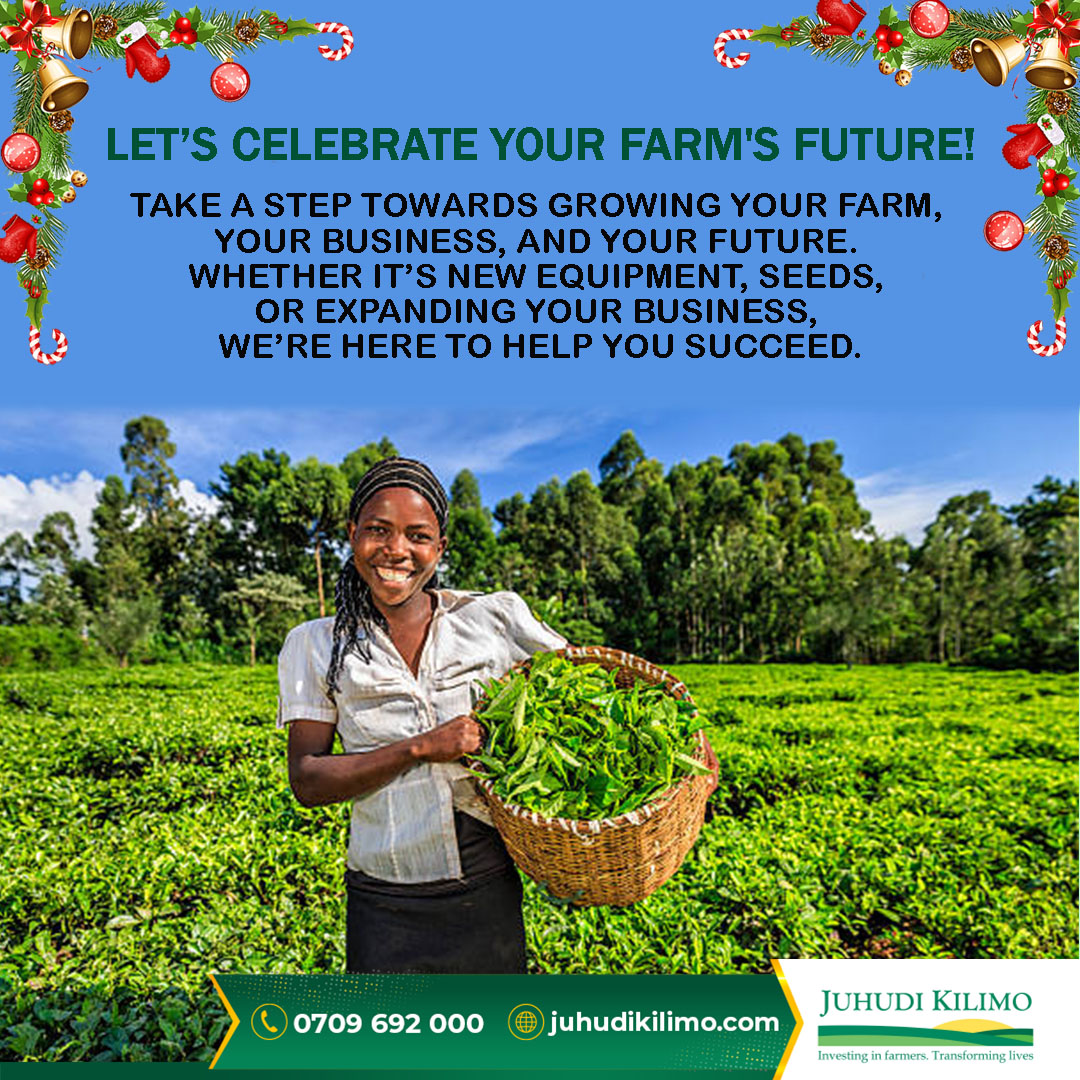 Juhudi Kilimo is here to support smallholder farmers and micro-entrepreneurs in making their dreams a reality this holiday season. Whether you want to expand your farm, grow your business, or invest in new opportunities, we have the perfect financial solutions!

#juhudikilimo