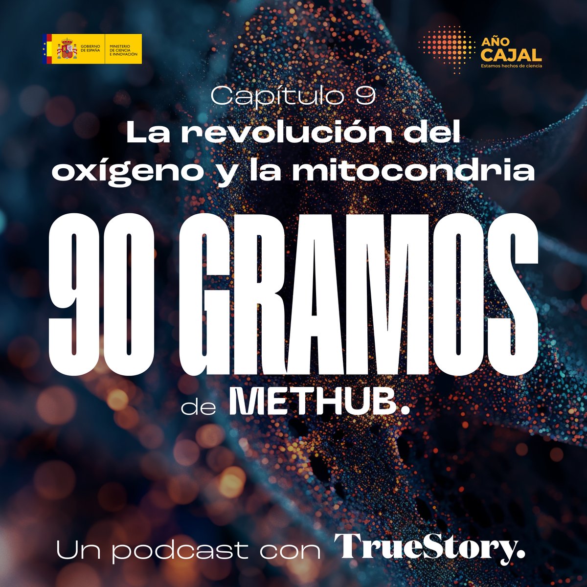 MetHub (@methub_es) on Twitter photo 🎧 ¡Ya disponible el 9 de 90 Gramos!
🌍 En este episodio exploramos el origen de las mitocondrias y la historia de Lynn Margulis, la científica que transformó nuestra visión de la evolución y la vida.
🎙️ Con <a href="/JuliPereto/">🦋 Juli Peretó 🍊</a> desde <a href="/JardiBotanicUV/">Jardí Botànic UV</a>.
open.spotify.com/episode/3dyO6w… 🎧 ¡Ya disponible el 9 de 90 Gramos!
🌍 En este episodio exploramos el origen de las mitocondrias y la historia de Lynn Margulis, la científica que transformó nuestra visión de la evolución y la vida.
🎙️ Con <a href="/JuliPereto/">🦋 Juli Peretó 🍊</a> desde <a href="/JardiBotanicUV/">Jardí Botànic UV</a>.
open.spotify.com/episode/3dyO6w…