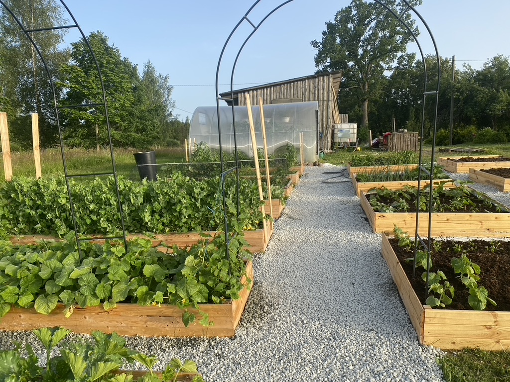 KatrinaKukuma's tweet photo. Man ir nopietns jautājums. 
Vai maniem sekotājiem interesētu saturs par dārza lietām? Nu tur sēklas uz palodzes, piparu pieradināšana ārā, kad jāsmidzina borskābe, kāpēc gurķiem nepatīk caurvējš u.tml.
Ir sakrājies daudz bilžu un pavasarī sākšu atkal visu no jauna. Interesē? https://t.co/6E5dCrUomB