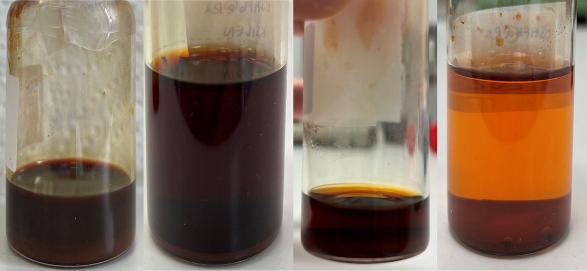 MAGNELIQproject's tweet photo. Stability is the key and the challenge!🔎
To optimize the stability and properties of ferrofluids based on magnetic nanoplatelets, the @JSI_SLO  team tests various nonpolar solvents. 
Tip! The less you see through, the more particles are suspended!
#Research #Science #FET #H2020 https://t.co/HoOk6jRNKQ