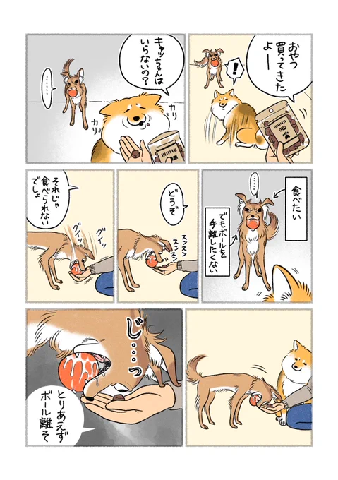 目で食べようとしてた 