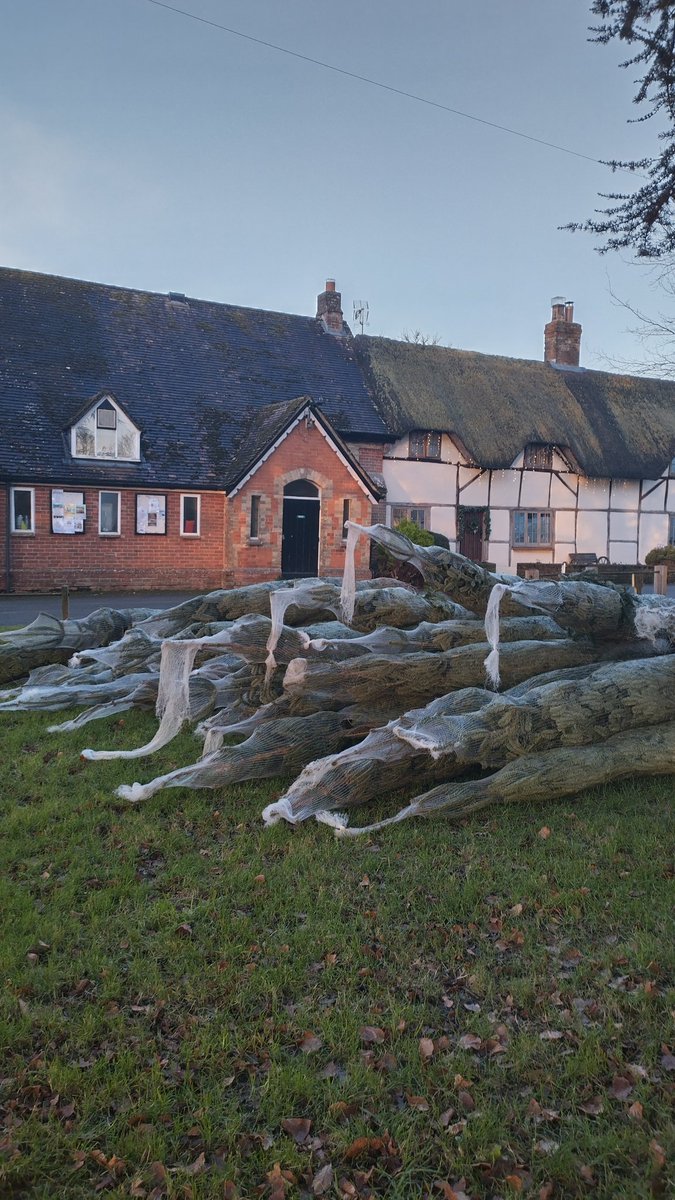 Here they come. The first delivery of 700 Christmas 🎄 trees have arrived safe and sound for the Burbage Christmas Tree Sale and Market - Sat &amp; Sun <a href="/yourbenpraters/">Ben Prater</a>  <a href="/BBCWiltshire/">BBC Wiltshire</a>