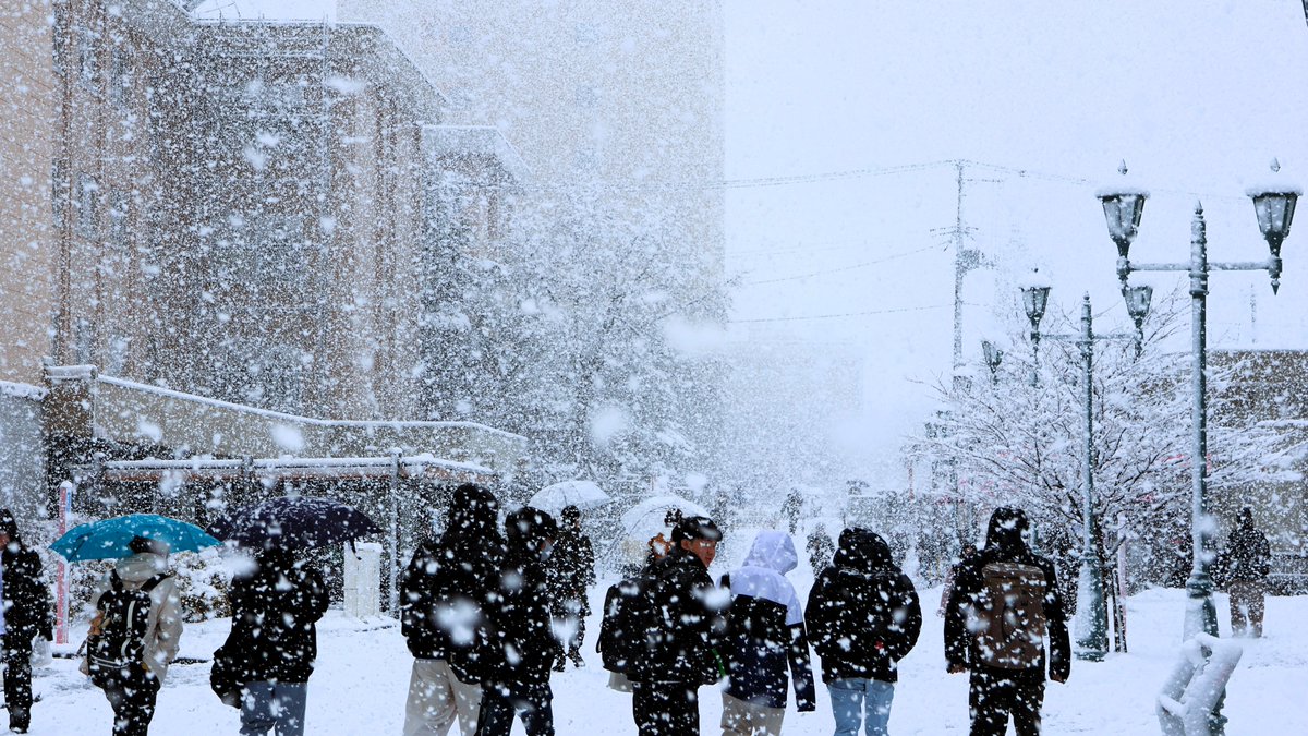 hirosaki_univ's tweet photo. 冬本番、来ちゃった

#弘前大学 #大雪 https://t.co/h34UE03tSJ