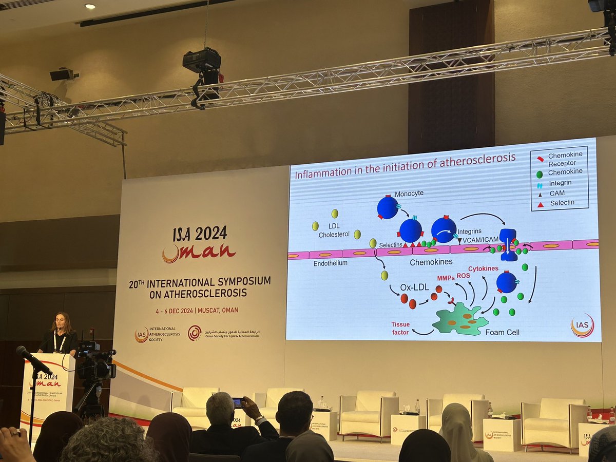 AAS (@atheroaussie) on Twitter photo In her second talk for the morning, <a href="/ChrisBursill/">ChrisBursill</a> is delivering a sponsored lunchtime lecture on Inflammation in Atherosclerosis #ISA2024 In her second talk for the morning, <a href="/ChrisBursill/">ChrisBursill</a> is delivering a sponsored lunchtime lecture on Inflammation in Atherosclerosis #ISA2024