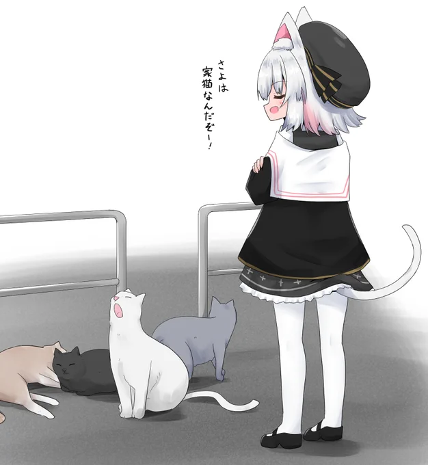 953/2310家猫マウントさよち 