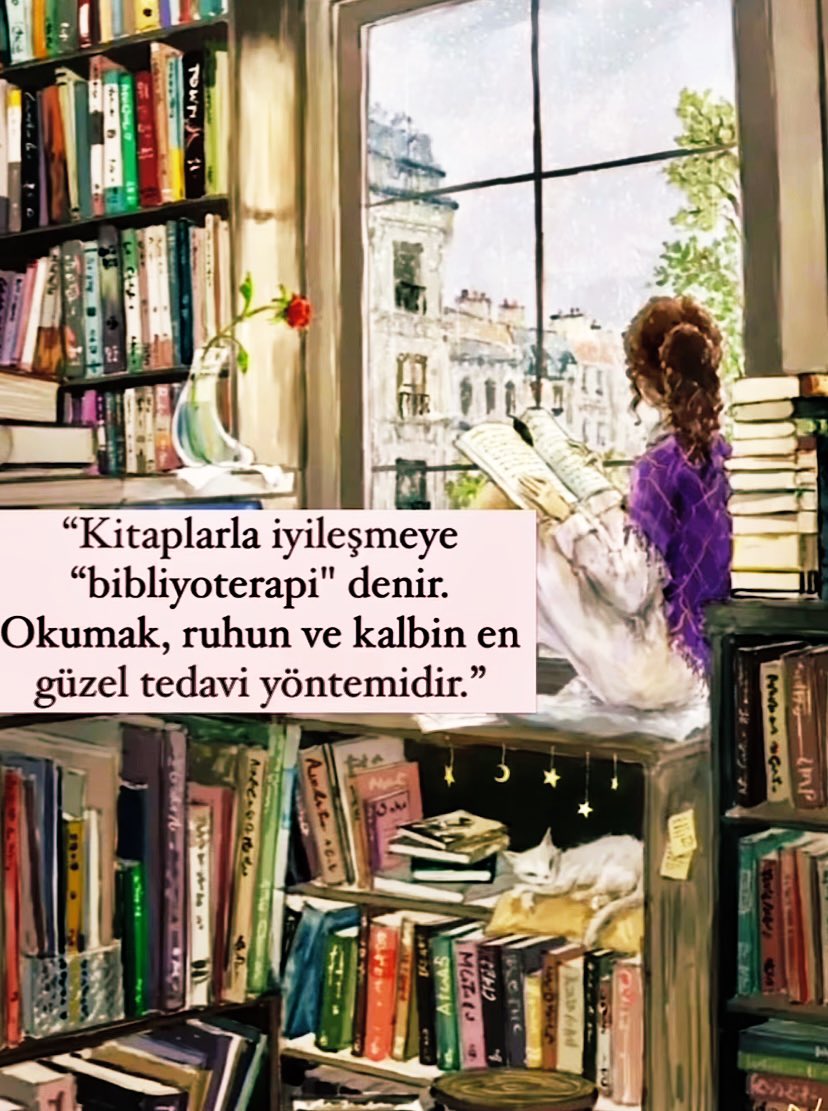 📚📚📚