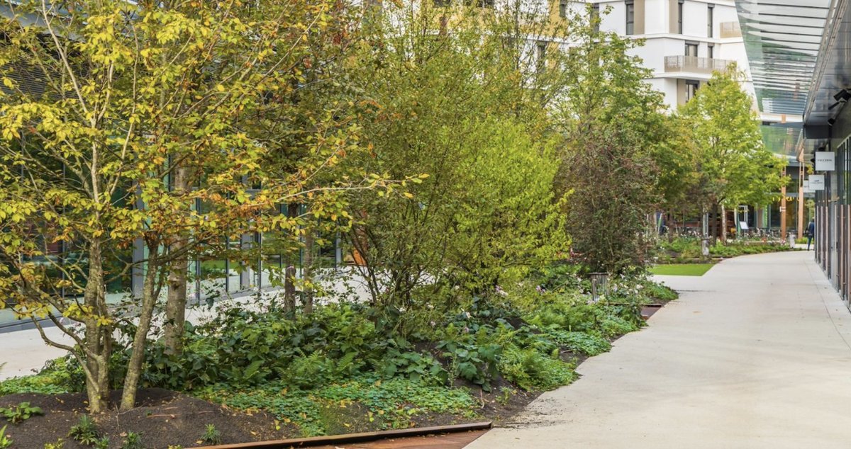2 fois plus de jours de forte chaleur d’ici 2050
➡️Pour rafraîchir les villes en été et améliorer la qualité de l’air, il est très utile de planter davantage de végétaux 
En savoir plus sur la végétalisation des villes avec #MtaTerre 👉mtaterre.fr/articles/la-ve…