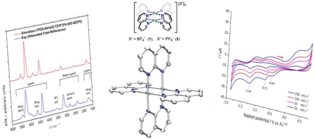 Glad to contribute to the electrochemistry part of the work from <a href="/MartinN42661278/">Martin Nielsen</a> group, reporting a paddlewheel complex of 1,8-naphthyridine and palladium(II) sciencedirect.com/science/articl…