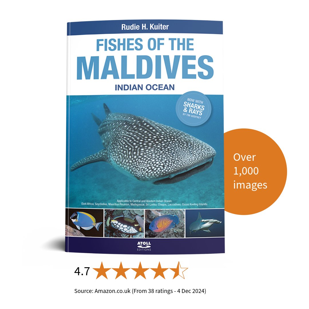 DivedUp's tweet photo. If you are looking for a gift for someone with a particular interest in marine life here are some of our best selling titles to consider!  
#booksofinstagram #books #giftideas #scubadiving #marinelife https://t.co/nJLWVSCZ8R