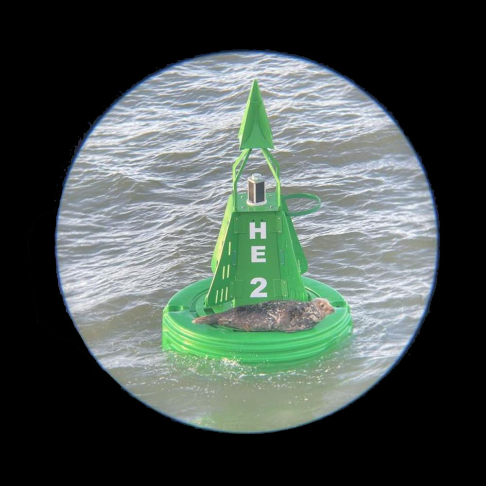Through the porthole: The crew of THV Patricia spotted a trespasser resting up on one of our buoys.

Our buoy network, other than being a good spot for a mid-swim kip, assists shipping in our waters. Learn more about this network here: trinityhouse.co.uk/mariners-infor…