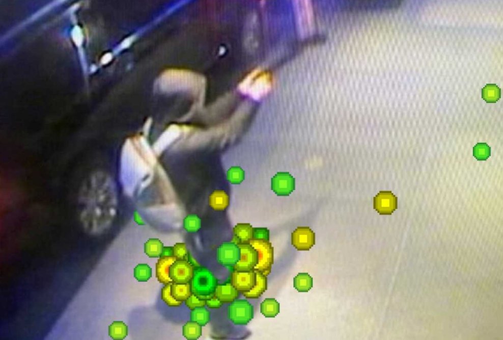 🍉Archesuchus🪶 tweet media