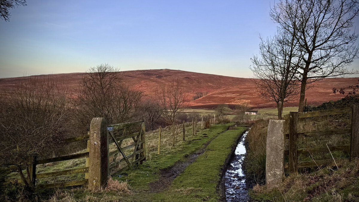 The #OffGrid Gardener tweet media