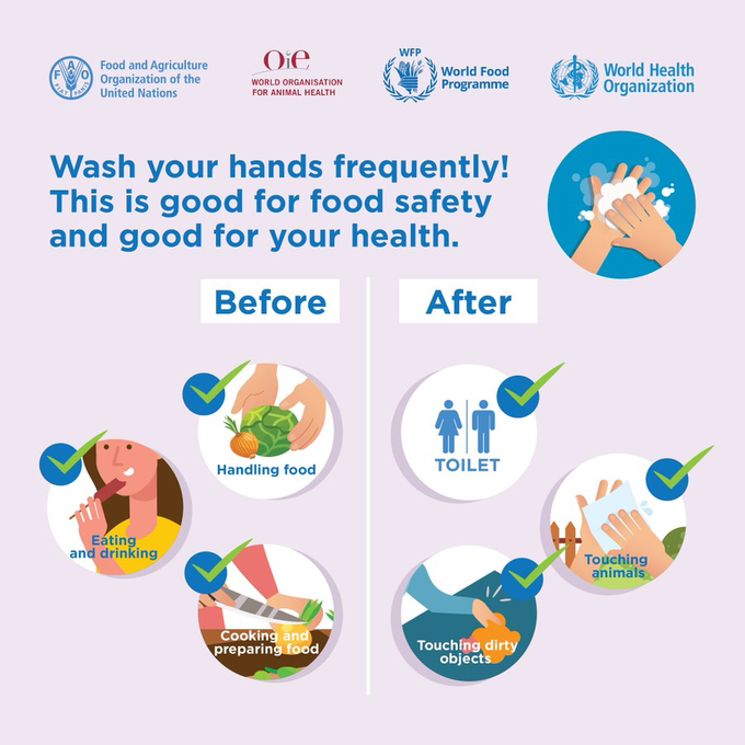 FAOWHOCodex's tweet photo. 🤓 | Practice #FoodSafety every day❗️
👉Hands are one of the most common means of moving 🦠 from one place to another. Always wash your hands with soap and water before and after handling food and often during food preparation.
🤲🧼🚿
#NationalHandWashingAwarenessWeek https://t.co/k9KGe8MfH6