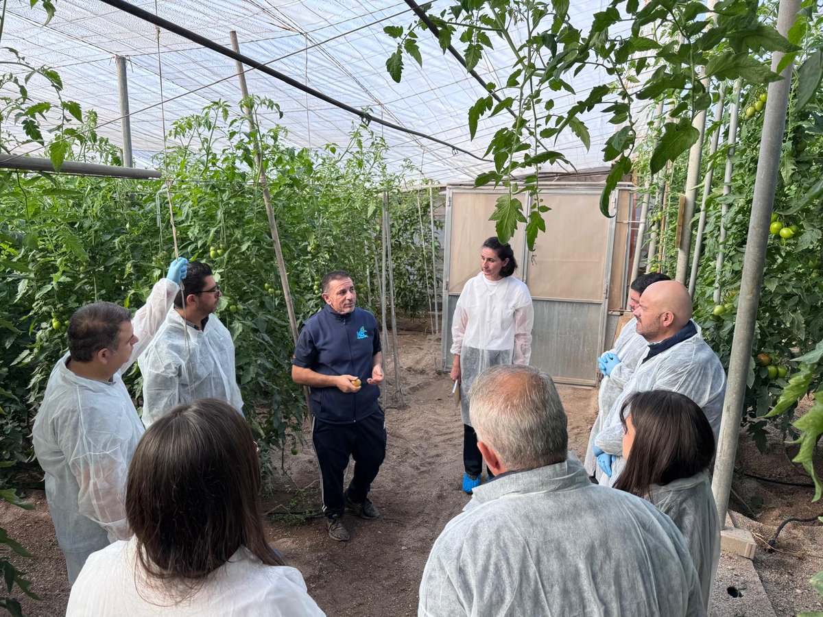 Plant Health Care tweet media